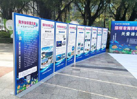  云霄KT板的种类和知识。